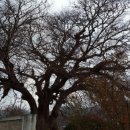 하구3리 이미지