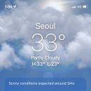 소궁흑염소요리 이미지