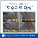 에스본정형외과의원 이미지