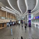 왔다개 | 대한민국 축제박람회 엑스포 관람 후기ㅣ수원에서 전국 축제 다 보고 왔다