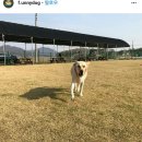 그늘막77 이미지