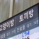 고잔연세소아청소년과의원 이미지