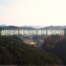 적성초 이미지