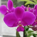 세븐일레븐 외동점 이미지