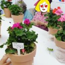 금구보건지소 이미지