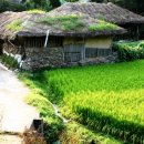 금곡영화민속촌 이미지