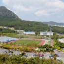 운동장 Daum카페