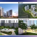 배산실내체육관 배드민턴장 이미지