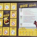 시흥승마힐링체험장 이미지