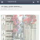 행쇼 Daum카페
