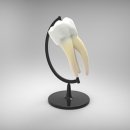 광명77플란트치과의원 이미지