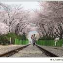 경화조경 이미지