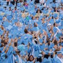 로우코스트 이미지