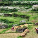 남해 금빛 이미지