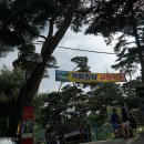 밀양유원지야영장 이미지