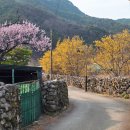 나들가게 은미슈퍼 | 대구 데이트 가볼만한곳 군위 드라이브 한밤마을 돌담길