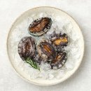 완도5호 이미지