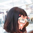 살롱드노바(Salon de NOVA) | [낙성대 미용실] 살롱드노바(SALON de NOVA) 성공적인 단발 C컬펌