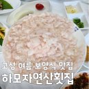 군령포하모자연산횟집 | 오늘N 고성 갯장어 군령포 하모자연산횟집 샤부샤부 회 여름 보양식 맛집