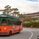 에듀팜특구관광단지(벨포레리조트) 이미지