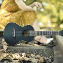 하와이 전통악기 우쿨렐레 이미지