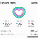 장어한마당 | 부산 여행 2박 3일 여행(2026.04.30.목-05.02.토)