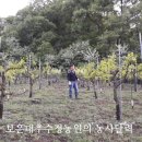 로타리 꽃농원 이미지