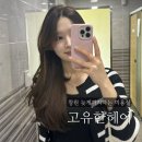 창원 미용실 고유한헤어 염색 커트 꼼꼼한 시술 만족후기