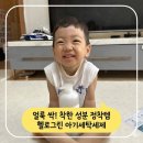 헬로짜장 | 헬로그린 유아세제 추천! 얼룩 싹 지워지는 신생아세제 찐템