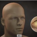 샐위치 이미지