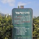 중앙하나약국 이미지