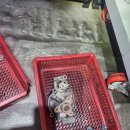 JK모터스 이미지