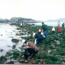 신길초앞 이미지