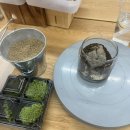 흙이랑 나무랑 | [창원 이색데이트] 창원이끼테라리움 나만의 작은 정원 보타미 체험후기