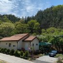 완두콩가족펜션 이미지