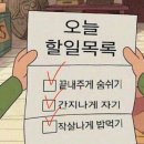 천지 타운 펜션 이미지