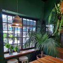 카페 까멜리아 이미지