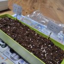 상춘농장 이미지