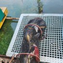 송말낚시터 이미지