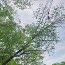 북한산 둘레캠프 | 북한산 자락에서 즐긴 힐링 캠핑, 북한산 둘레캠프 후기