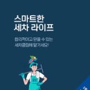 그린카출장세차
