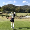 삼성조류 | 용인 글렌로스GC 라운딩후기- 그린피 그늘집식사