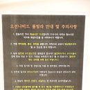 오션나비드풀빌라 이미지