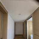 남구-45 | 울산도배 [도배의민족 울산캠프] 남구 위브 자이 45평 실크 도배 후기