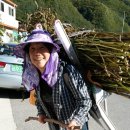 삿갓농장 이미지