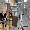 디랙스 퓨어플레이트 체스트 프레스(상태 극상) 판매합니다 이미지