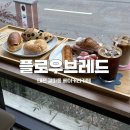 대전 갈마동 베이커리카페 ‘플로우브레드’ 매일 굽는 건강한 빵 왕창 먹고온 후기