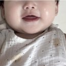 건조한 아이 피부에 만족했던 키즈로션, 르샤트라 베이비 퓨리파잉 로션 블랑 후기