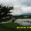 꽃길만두 이미지