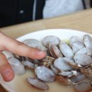 수밀바지락칼국수